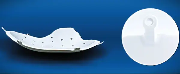 Click Here To Enlarge This Photo Of The Art and Engineering of Implants