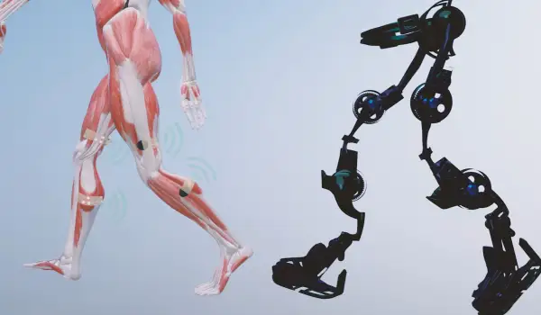 Click Here To Enlarge This Photo Of Phantom Neuro&rsquo;s Implantable