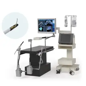 Steam-Based Thermal Ablation for Prostate Tissue&nbsp;