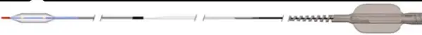 Click Here To Enlarge This Photo Of Improving Long-Term Outcomes in Coronary Interventions&colon; AGENT&trade; Paclitaxel-Coated Balloon Catheter