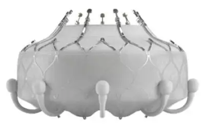Minimally Invasive Solutions for Tricuspid Valve Disease